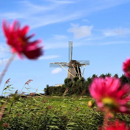 Aan Zee Huisdier Toegestaan Max 2 度假居 *