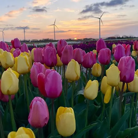 Aan Zee Huisdier Toegestaan Max 2