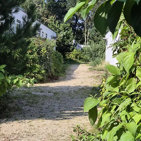 Aan Zee Huisdier Toegestaan Max 2 Holiday home *